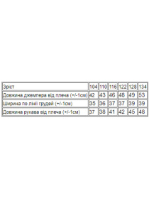 Худі та світшоти Носи своє модель 6069-057-33-5-chornilxno-sinj Фото