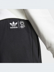 Штани Adidas Graphics модель HY4265 Фото