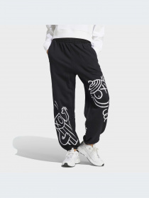 Штани Adidas Graphics модель HY4265 Фото