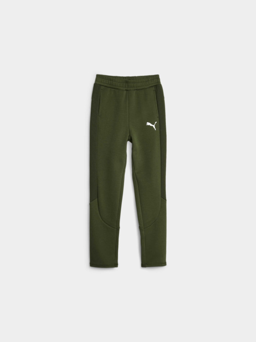 Брюки PUMA Evostripe Pants модель 676278 Фото