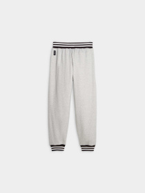 Штани PUMA Franchise Core Pant модель 623040 Фото
