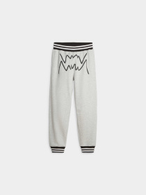 Штани PUMA Franchise Core Pant модель 623040 Фото