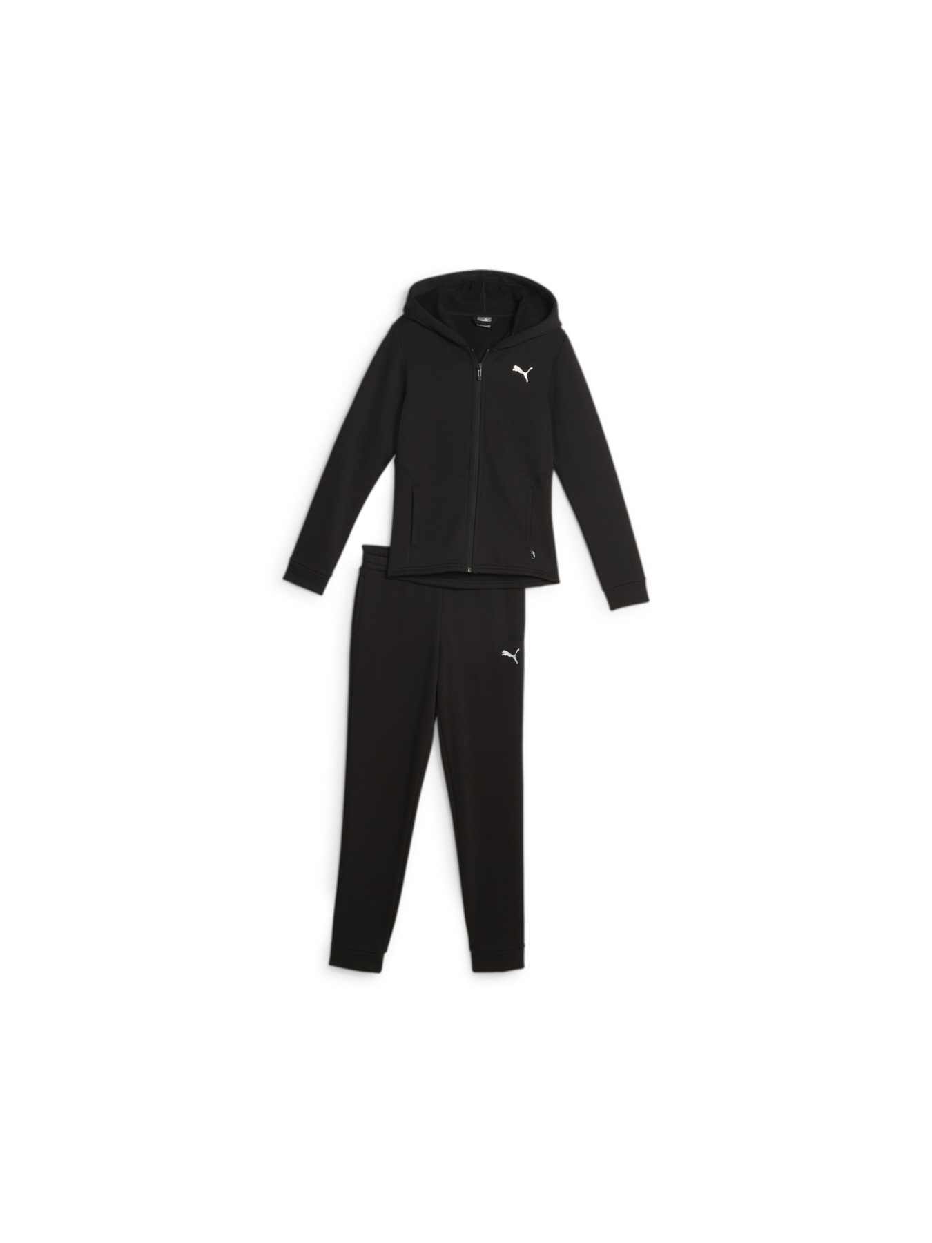Костюми PUMA Hooded Sweat Suit модель 676375 Костюми PUMA Hooded Sweat Suit модель 676375 Фото