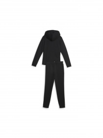 Костюми PUMA Hooded Sweat Suit модель 676375 Фото