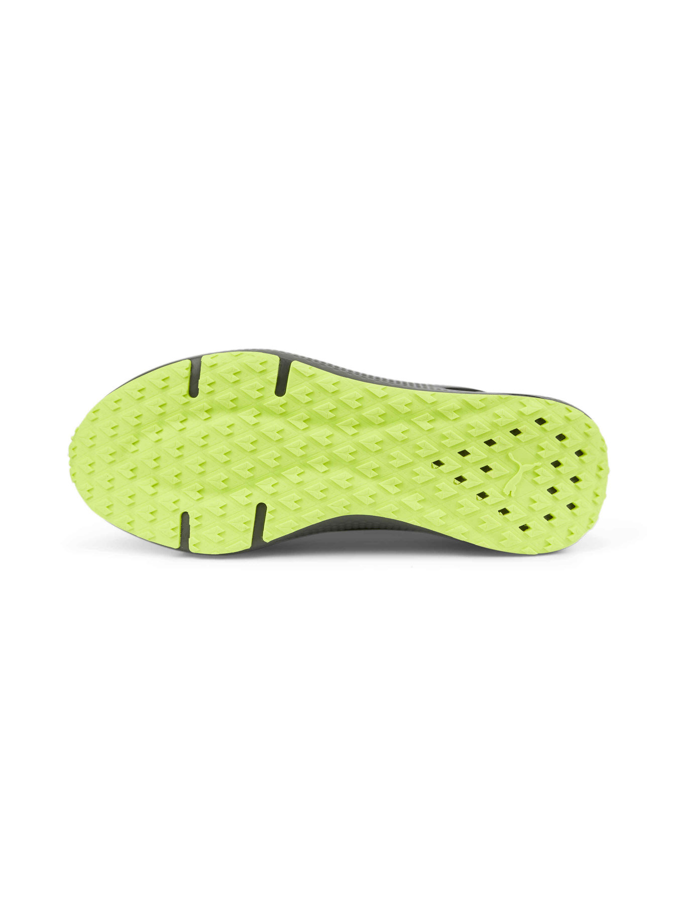Кроссовки PUMA Softride Pro Coast модель 377059 Фото