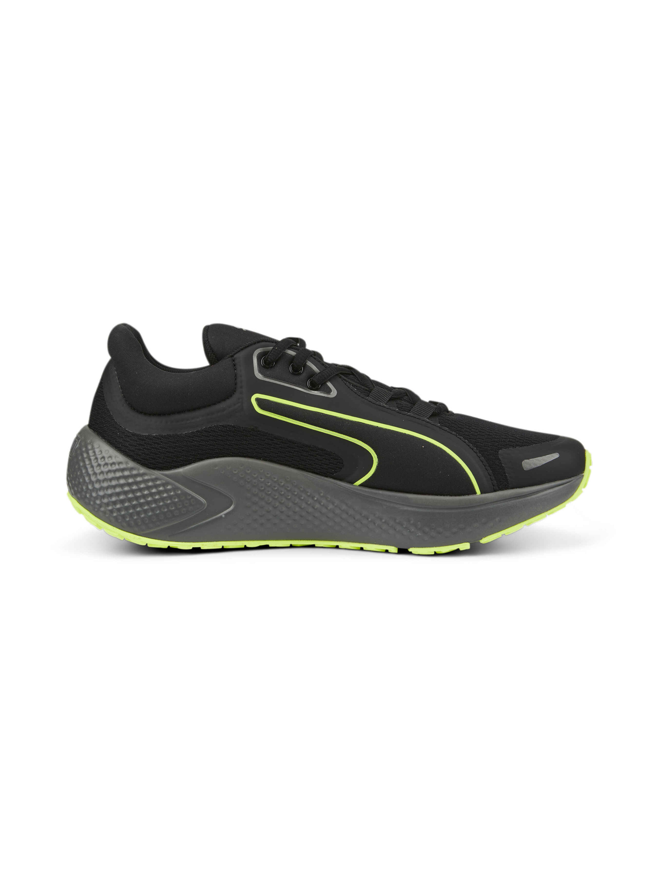 Кроссовки PUMA Softride Pro Coast модель 377059 Фото