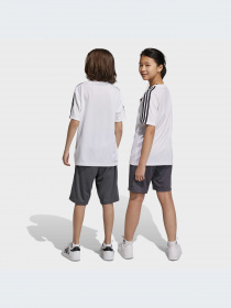 Костюмы Adidas модель HS1608 Фото