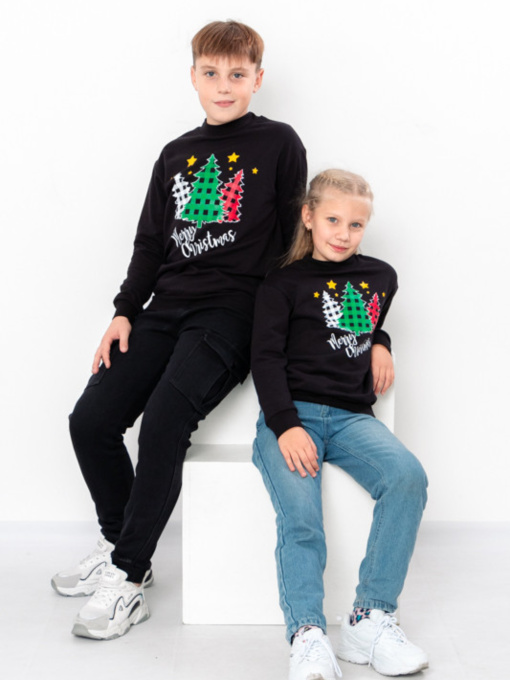 Худи и свитшоты Носи своє модель 6344-f-chornij-qlinka Фото