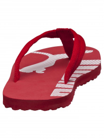 Шльопанці PUMA Epic Flip V2 модель 360248 Фото
