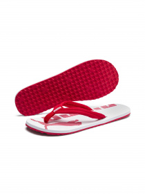 Шльопанці PUMA Epic Flip V2 модель 360248 Фото