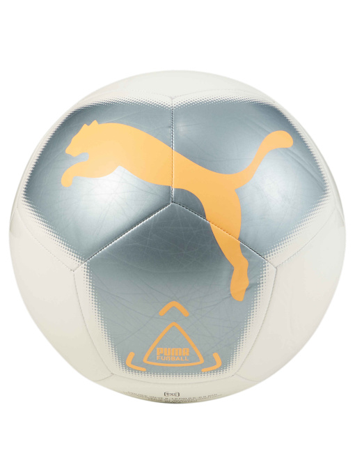 М'ячі PUMA Big Cat Ball модель 083701 Фото