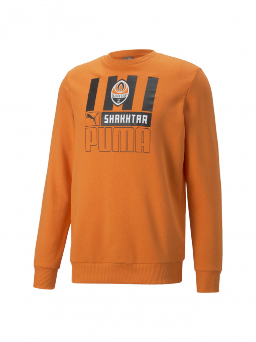 Худи и свитшоты PUMA Fcsd Ftblcore Crew Sweat модель 767258 Фото