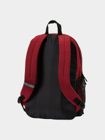 Рюкзаки PUMA Buzz Backpack модель 073581 Фото
