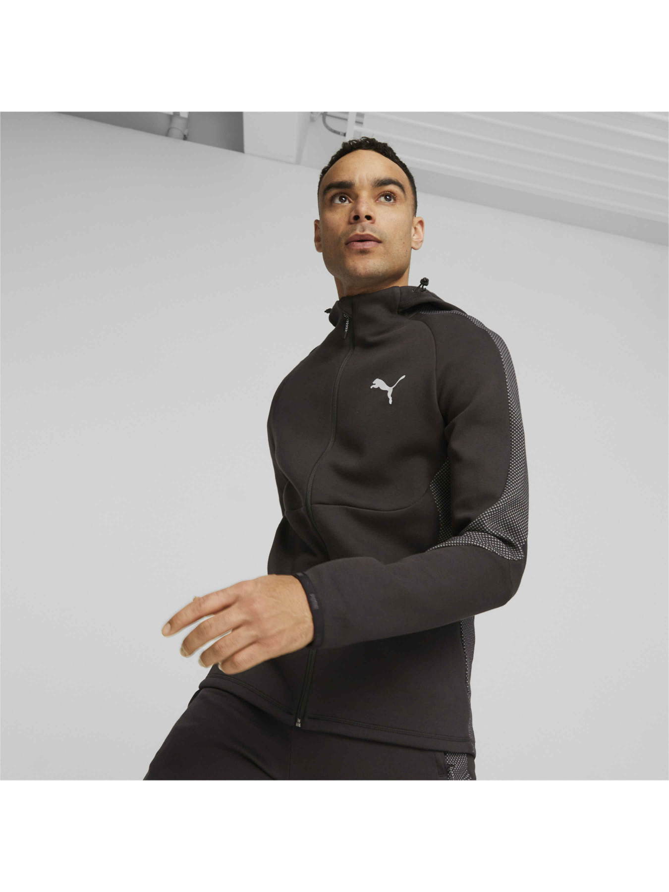 Худи и свитшоты PUMA Evostripe Full-zip Hoodie модель 675930 Фото