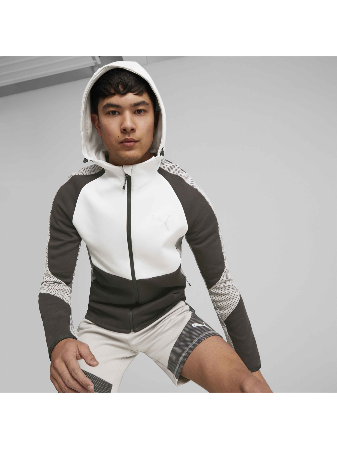 Худи и свитшоты PUMA Evostripe Full-zip Hoodie модель 675930 Фото