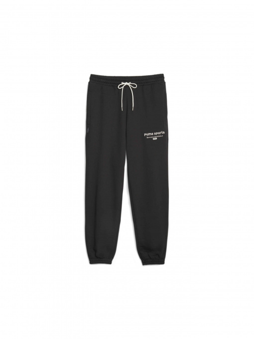 Брюки PUMA Team Sweatpants модель 621328 Фото