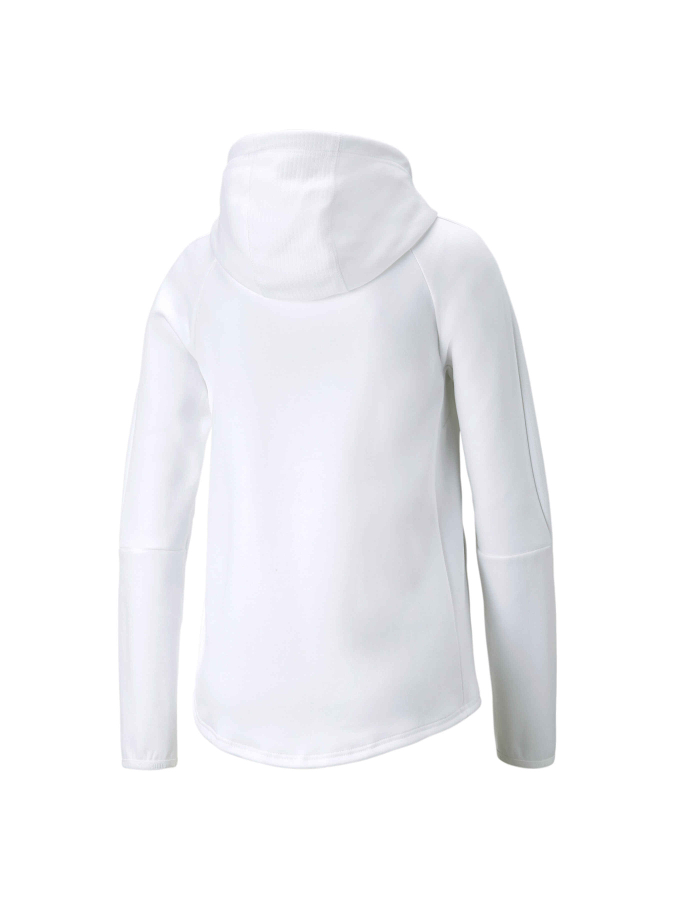 Худи и свитшоты PUMA Evostripe Full-zip Hoodie модель 849809 Худи и свитшоты PUMA Evostripe Full-zip Hoodie модель 849809 Фото