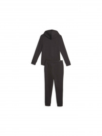 Костюмы PUMA Classic Hooded Tracksuit Fl модель 622637 Фото