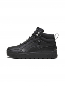 Кеди PUMA Tarrenz Sb Iii Puretex модель 393930 Фото