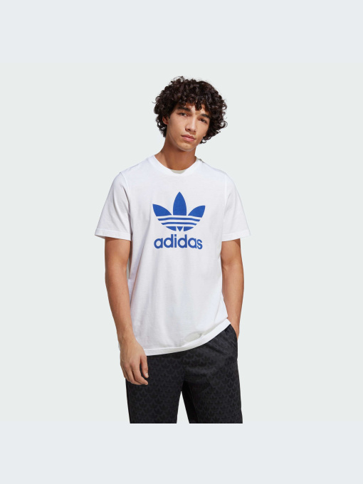 Футболки и поло Adidas Adicolor модель IA4813 Фото