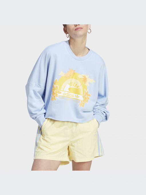 Худі та світшоти Adidas Graphics модель IT8160 Фото