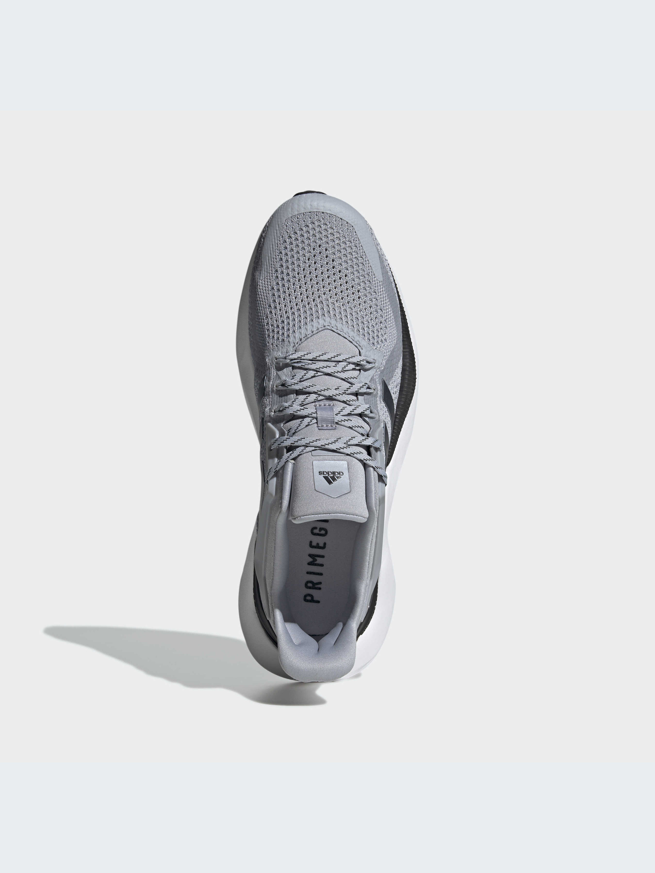 Кроссовки Adidas Alphabounce модель GY0594 Фото