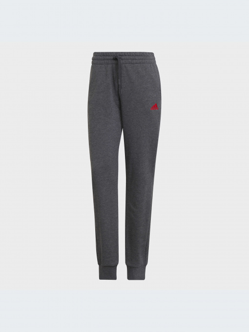 Брюки Adidas модель HD1698 Фото