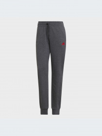 Брюки Adidas модель HD1698 Фото