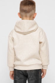 Худи и свитшоты CARICA модель HD1200210 Фото