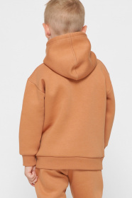 Худи и свитшоты CARICA модель HD120176 Фото