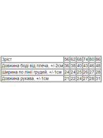 Одежда для младенцев Носи своє модель 5010-024-5-vedmezhata-bezh Фото