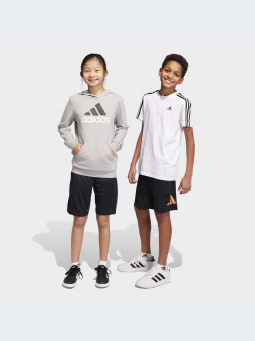 Шорти Adidas модель IC5658 Фото