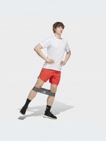 Шорти Adidas модель IC2046 Фото