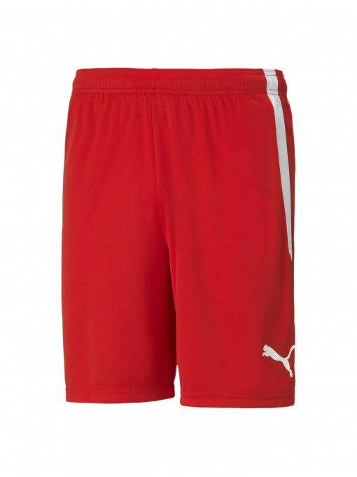 Шорты PUMA Teamliga Shorts модель 704924 Фото