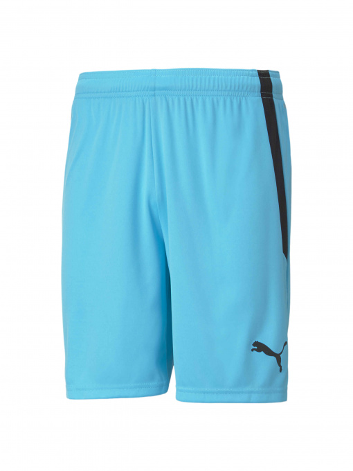 Шорты PUMA Teamliga Shorts модель 704924 Фото