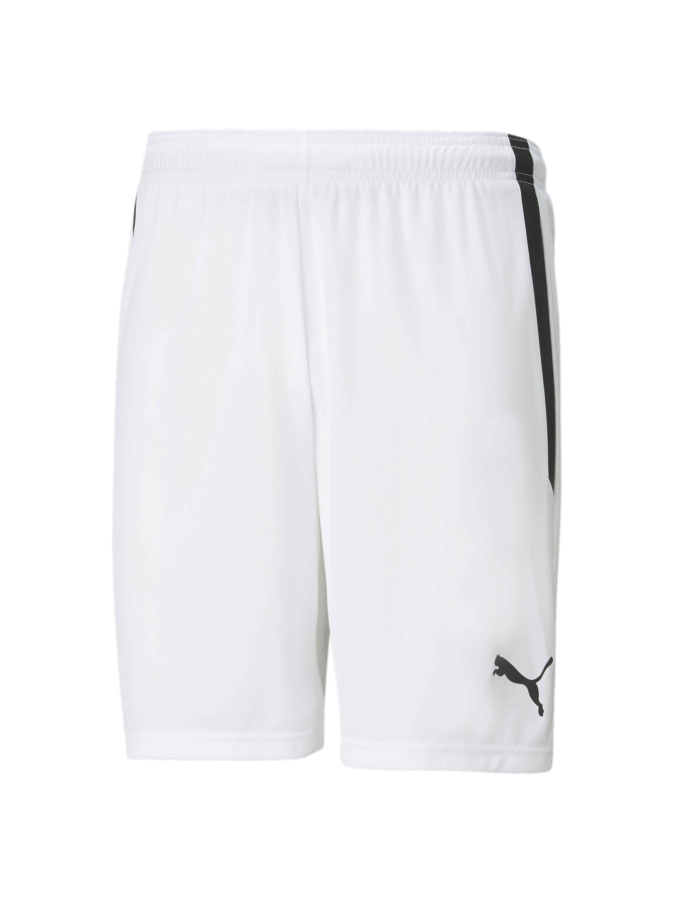 Шорты PUMA Teamliga Shorts модель 704924 Шорты PUMA Teamliga Shorts модель 704924 Фото