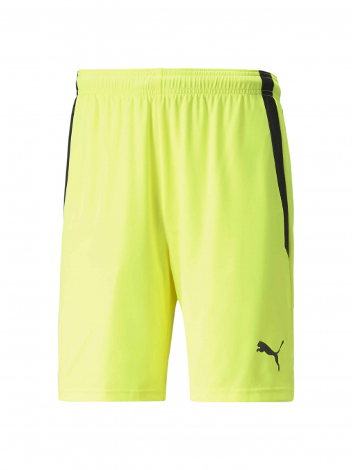 Шорты PUMA Teamliga Shorts модель 704924 Фото