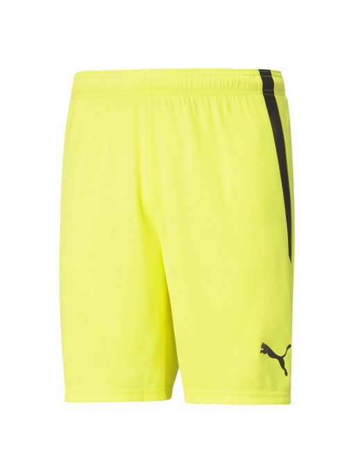 Шорты PUMA Teamliga Shorts модель 704924 Фото