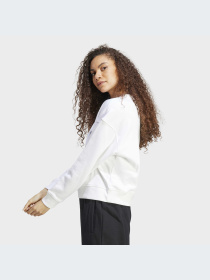Худи и свитшоты Adidas Graphics модель HY4268 Фото