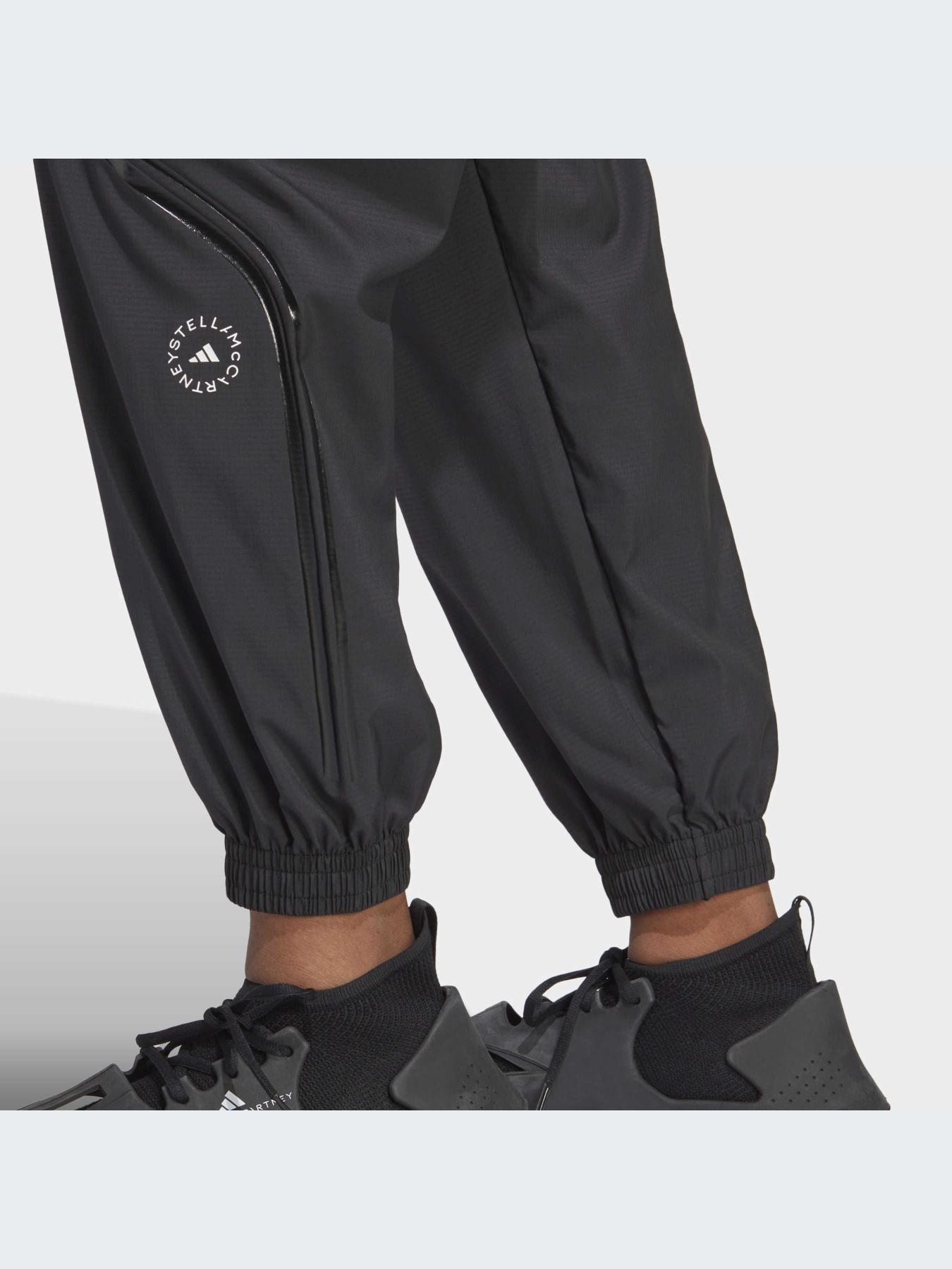 Брюки Adidas модель HR2209 Фото