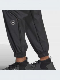 Брюки Adidas модель HR2209 Фото