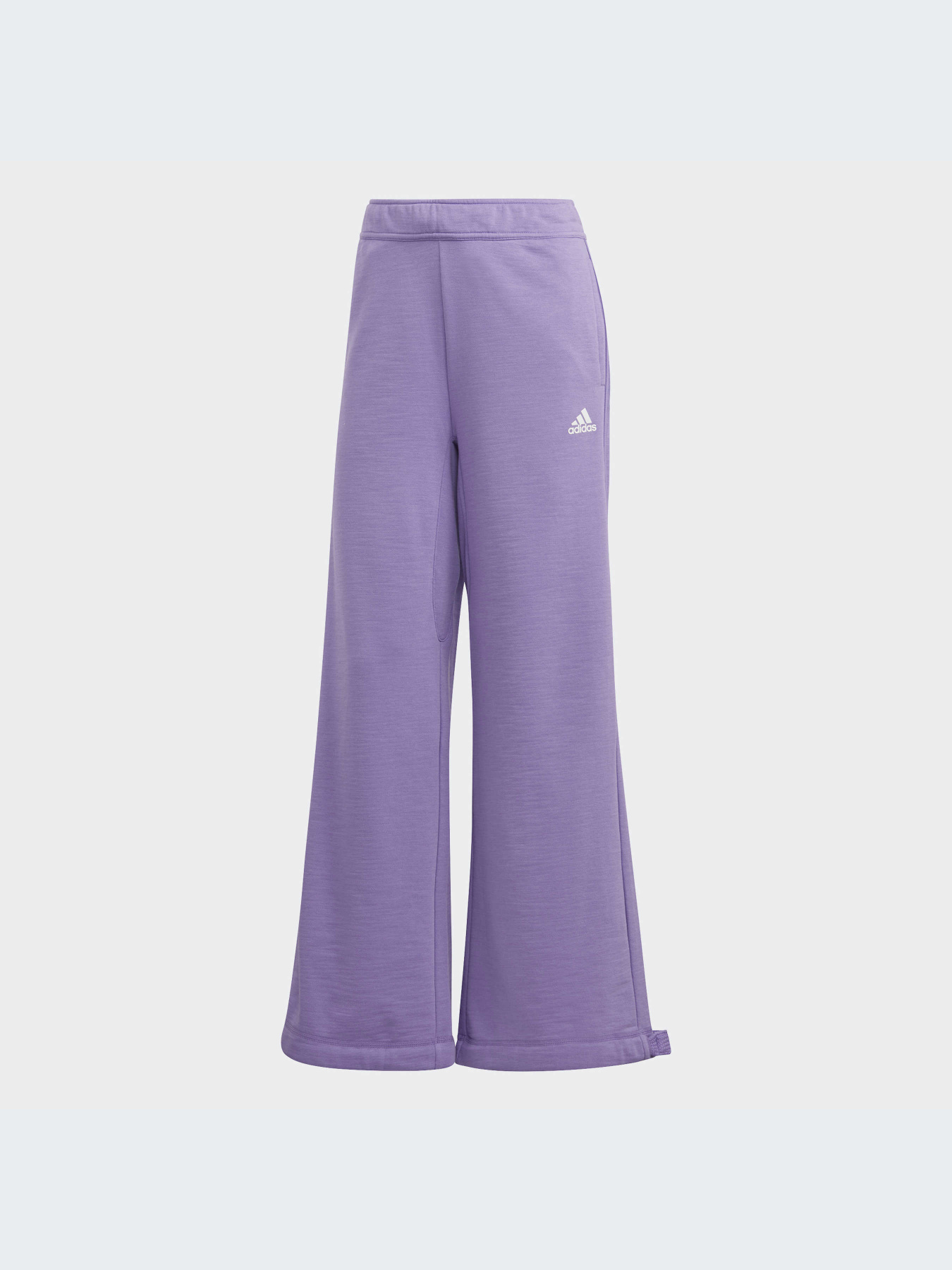 Брюки Adidas модель IC6689 Фото