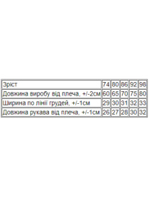 Одежда для младенцев Носи своє модель 5039-025-4-blakitna-pudra Фото