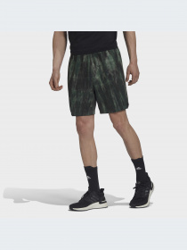 Шорты Adidas модель HL8765 Фото