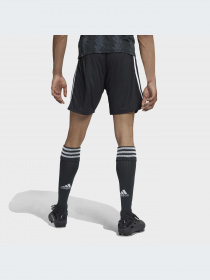 Шорты Adidas модель H38895 Фото