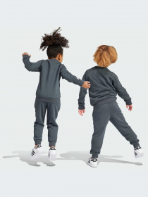 Костюмы Adidas модель IC3056 Фото