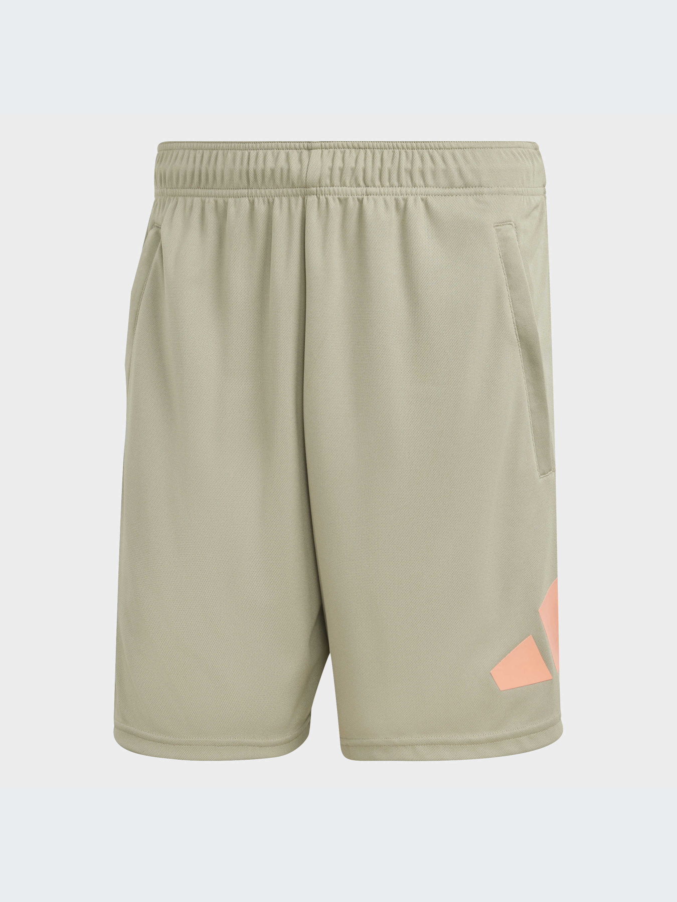 Шорты Adidas Clima модель IC1483 Фото