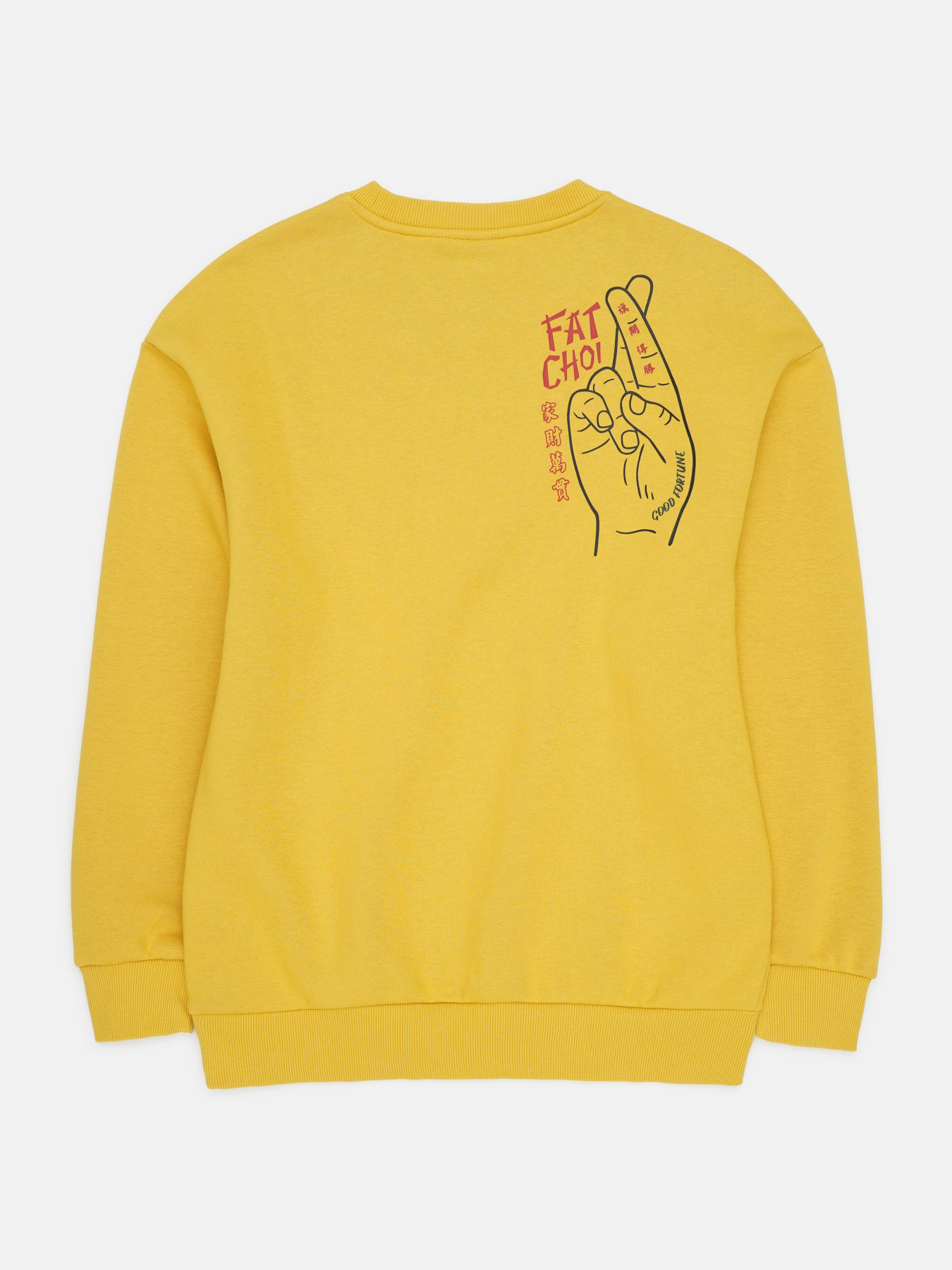 Худи и свитшоты H&M модель 70025 Фото