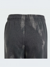 Брюки Adidas Культовые силуэты модель IT9038 Фото