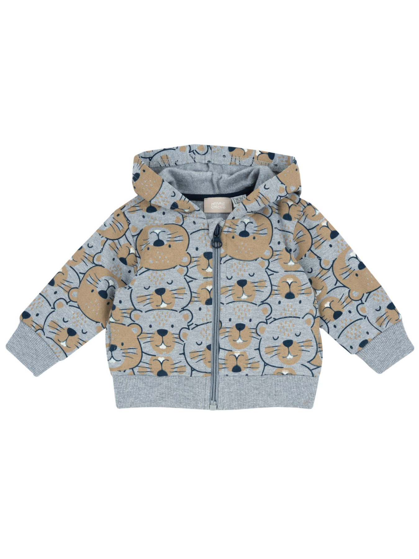 Худі та світшоти Chicco модель 090.36999.091 Фото